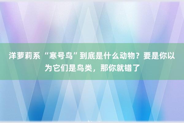 洋萝莉系 “寒号鸟”到底是什么动物？要是你以为它们是鸟类，那你就错了