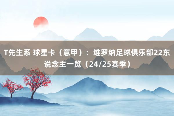 T先生系 球星卡（意甲）：维罗纳足球俱乐部22东说念主一览（24/25赛季）