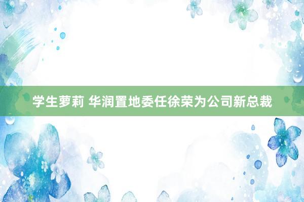 学生萝莉 华润置地委任徐荣为公司新总裁