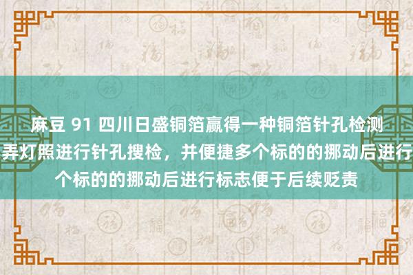 麻豆 91 四川日盛铜箔赢得一种铜箔针孔检测安装专利，充分愚弄灯照进行针孔搜检，并便捷多个标的的挪动后进行标志便于后续贬责