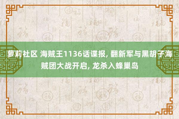 萝莉社区 海贼王1136话谍报， 翻新军与黑胡子海贼团大战开启， 龙杀入蜂巢岛