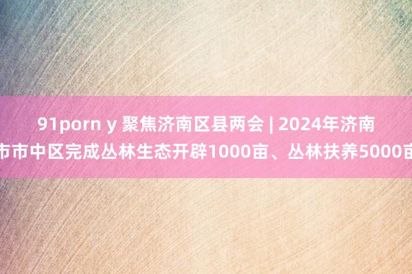 91porn y 聚焦济南区县两会 | 2024年济南市市中区完成丛林生态开辟1000亩、丛林扶养5000亩