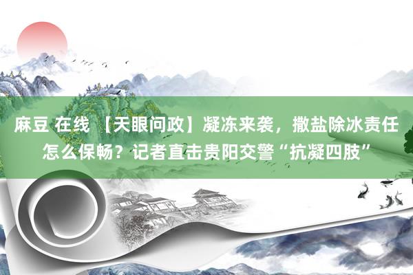 麻豆 在线 【天眼问政】凝冻来袭，撒盐除冰责任怎么保畅？记者直击贵阳交警“抗凝四肢”