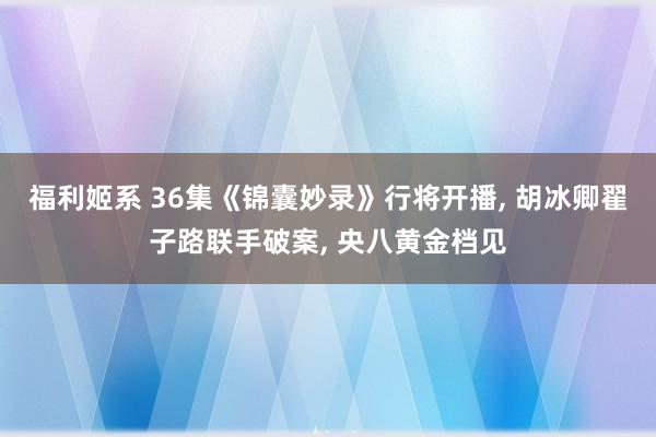 福利姬系 36集《锦囊妙录》行将开播， 胡冰卿翟子路联手破案， 央八黄金档见