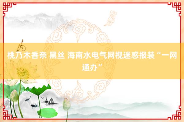 桃乃木香奈 黑丝 海南水电气网视迷惑报装“一网通办”