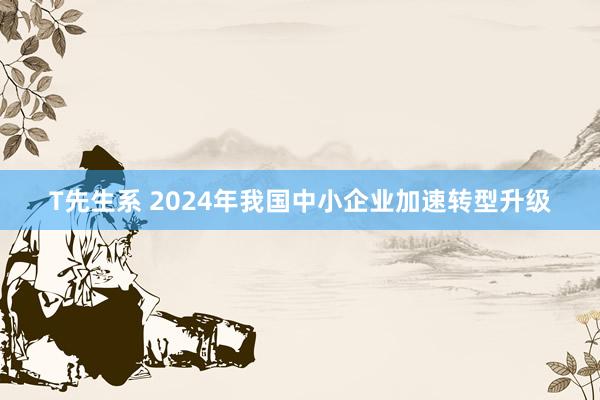 T先生系 2024年我国中小企业加速转型升级