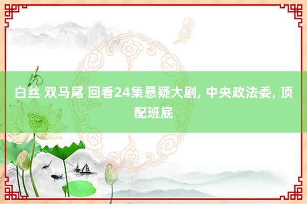 白丝 双马尾 回看24集悬疑大剧， 中央政法委， 顶配班底